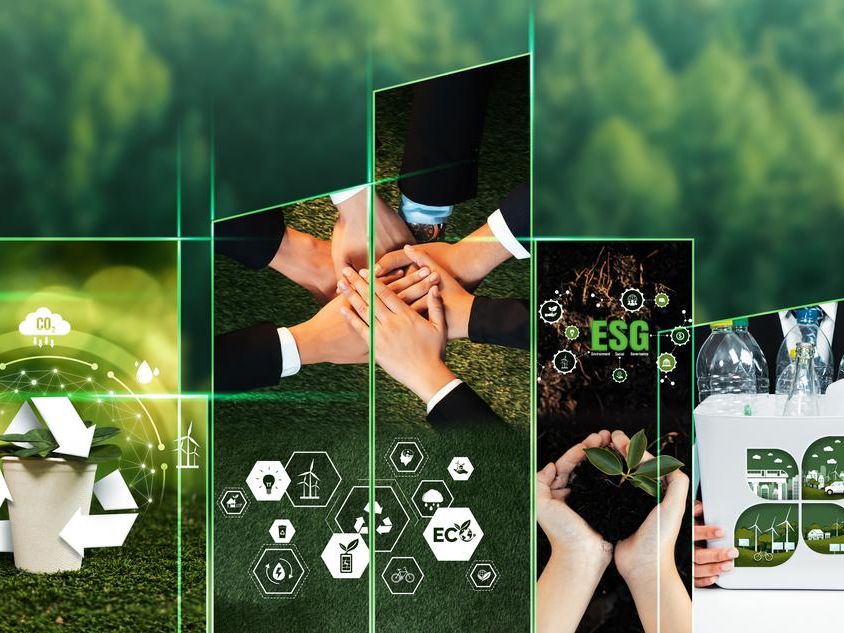 Jak doradztwo środowiskowe napędza transformację energetyczną przedsiębiorstw?
